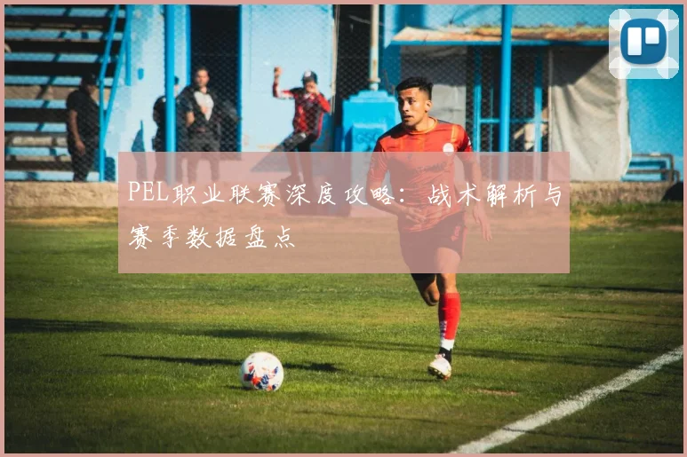 PEL职业联赛深度攻略:战术解析与赛季数据盘点