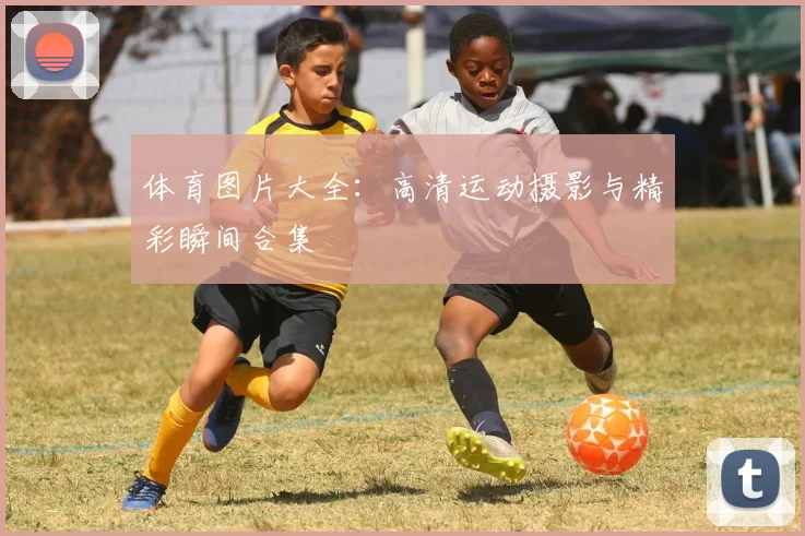 体育图片大全：高清运动摄影与精彩瞬间合集