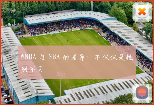 WNBA 与 NBA 的差异：不仅仅是性别不同