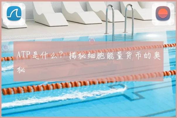 ATP是什么?揭秘细胞能量货币的奥秘