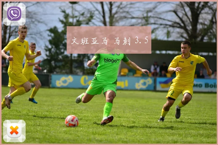 文班亚马 马刺 3.5