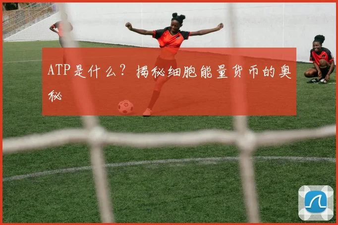 ATP是什么?揭秘细胞能量货币的奥秘