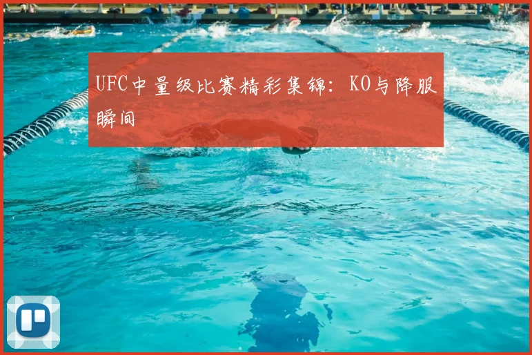 UFC中量级比赛精彩集锦：KO与降服瞬间