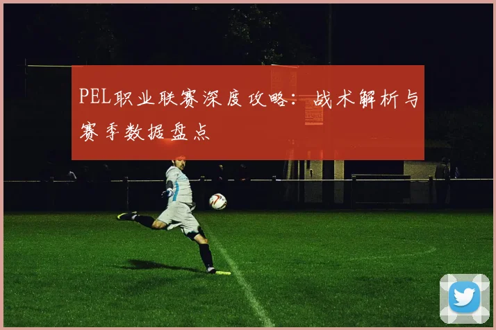 PEL职业联赛深度攻略:战术解析与赛季数据盘点