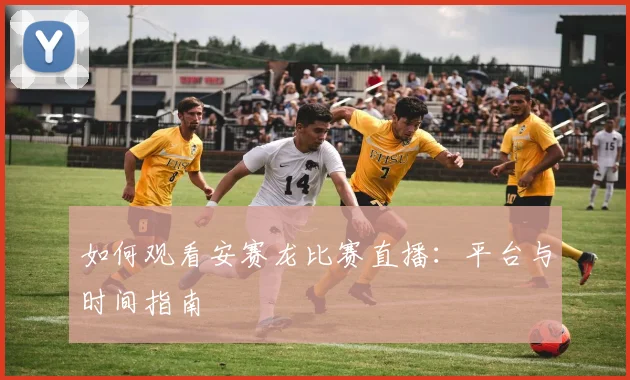如何观看安赛龙比赛直播:平台与时间指南