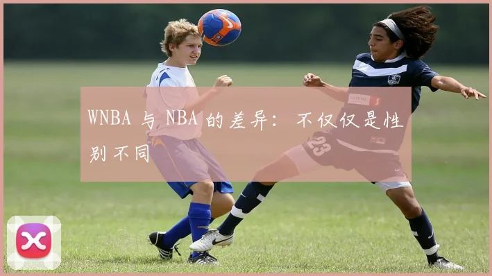 WNBA 与 NBA 的差异：不仅仅是性别不同