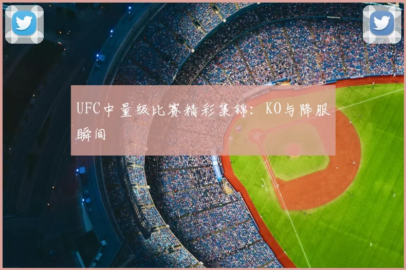 UFC中量级比赛精彩集锦：KO与降服瞬间
